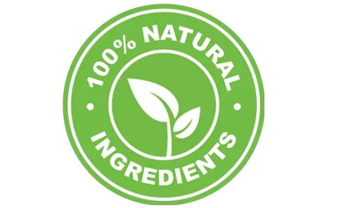 leanotox all natural ingredients